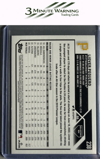 2023 Topps #238 Liover Peguero Silver Pattern Foilboard
