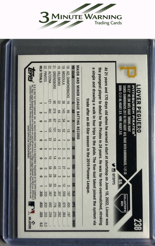 2023 Topps #238 Liover Peguero Silver Pattern Foilboard
